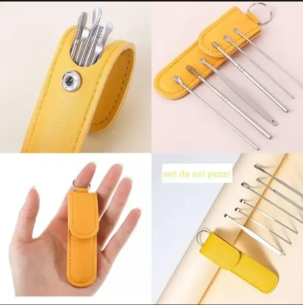 Stainless Steel Ear Cleaning Tool Set – 6 Pcs Earwax Remover Kit with Storage Case