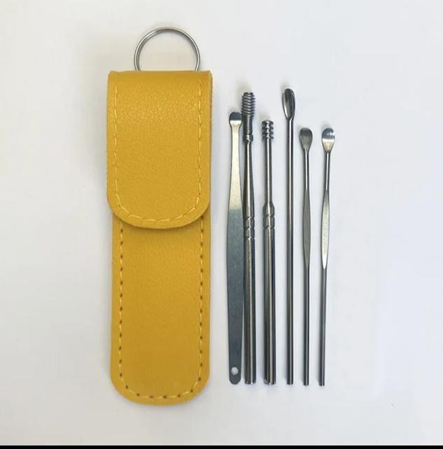 Stainless Steel Ear Cleaning Tool Set – 6 Pcs Earwax Remover Kit with Storage Case